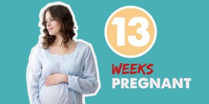 بارداری در هفته‌ی 13 دوران بارداری